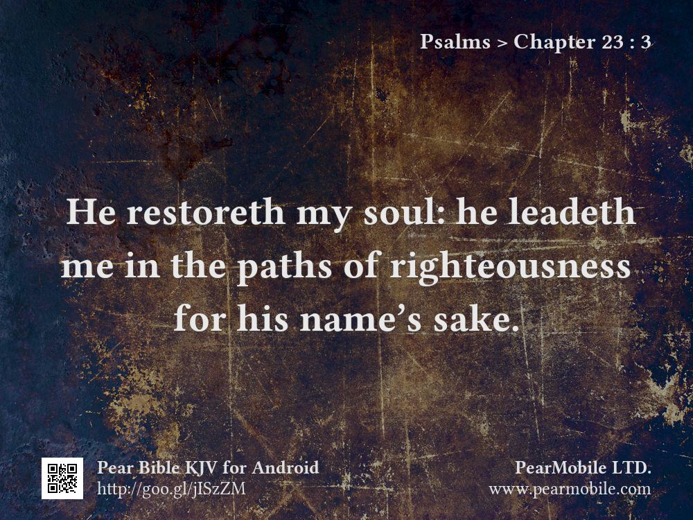 Psalms, Chapter 23:3
